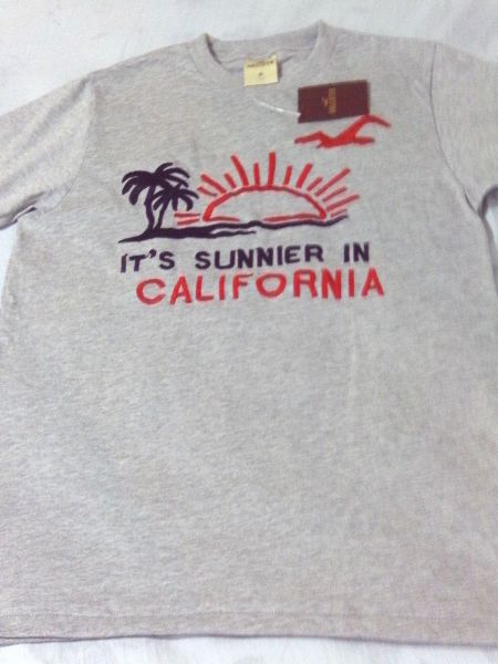 HOLLISTER