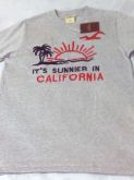 HOLLISTER